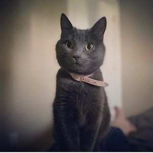 Meet your Posher, Jenny